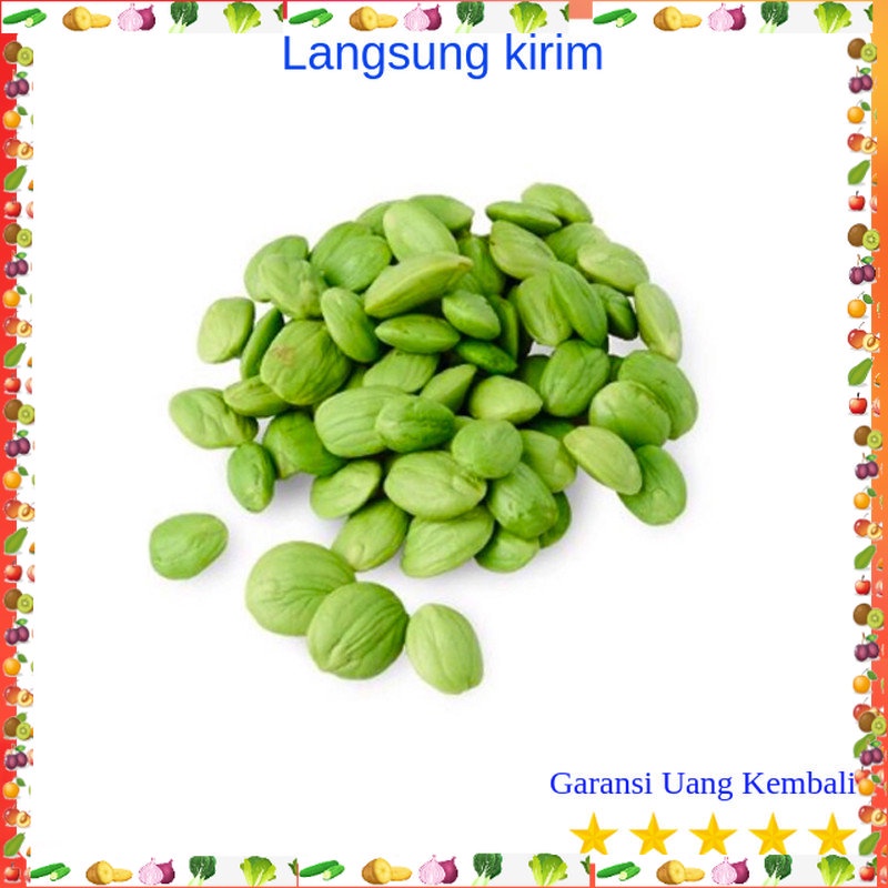 

Petai Kupas Pete Sayur Mayur Buah Buahan Bersih Fresh [YS] Cuci Gudang Grosir Promo Cod Gratis Ongkir Oleh Oleh Murah Terlaris Kualitas Bagus [ys]