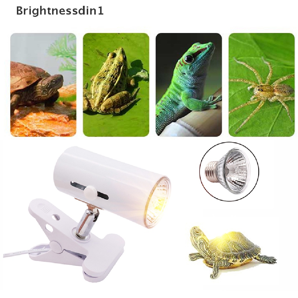 [Brightnessdin1] Kit Lampu Reptil UVA+UVB Clip-on Ceramic Light Holder Turtle Basking UV Heag Boutique