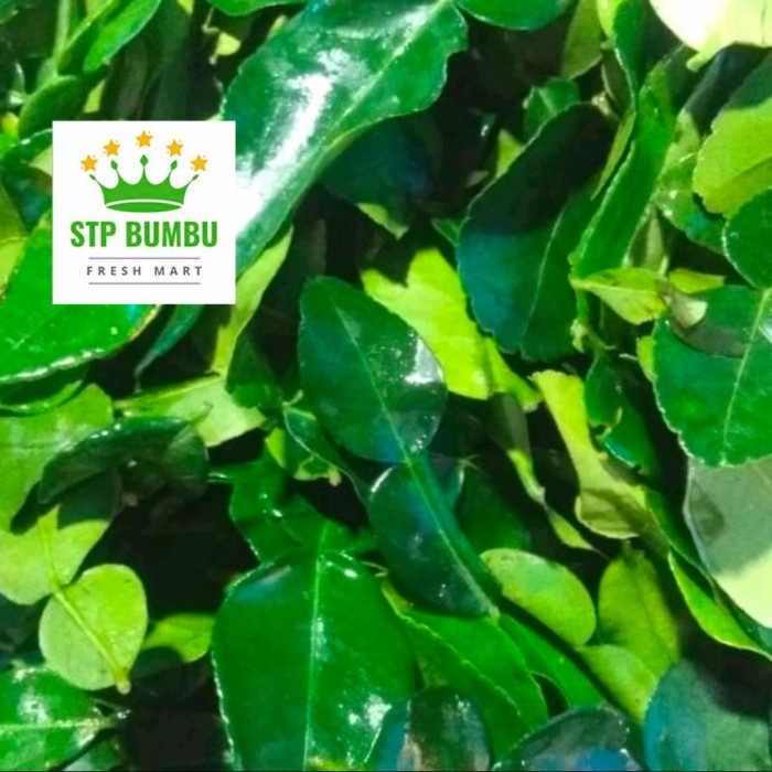 

[Ready Stock] Daun Jeruk Purut Segar 500 gram - 500 gr