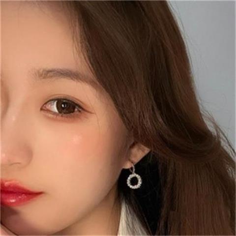 S925 Perak Jarum Korea Penuh Berlian Zirkon Cincin Aliran Korea Temperamen Influencer Anting Earrings Wanita