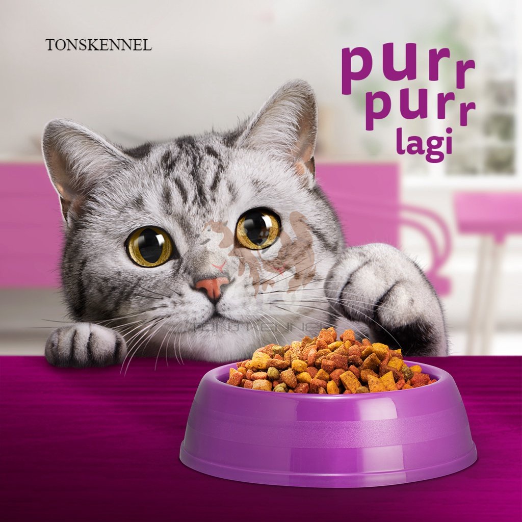 WHISKAS Indoor 1.1 kg 1.1kg Cat Food for Adult Cats - Makanan Kucing Kering Dengan Formula Untuk Kucing Indoor Dewasa