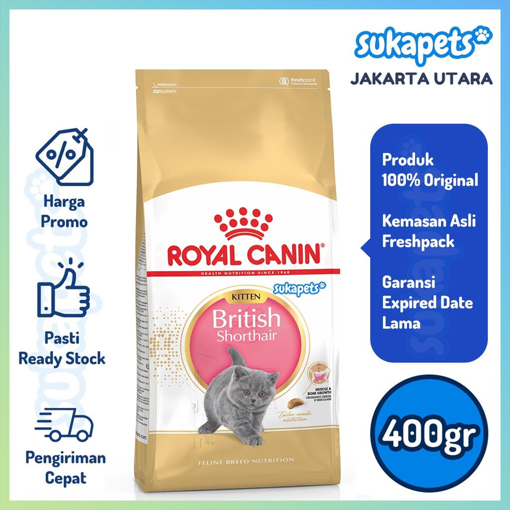 Royal Canin Kitten British Shorthair Makanan Anak Kucing Dry 400gr