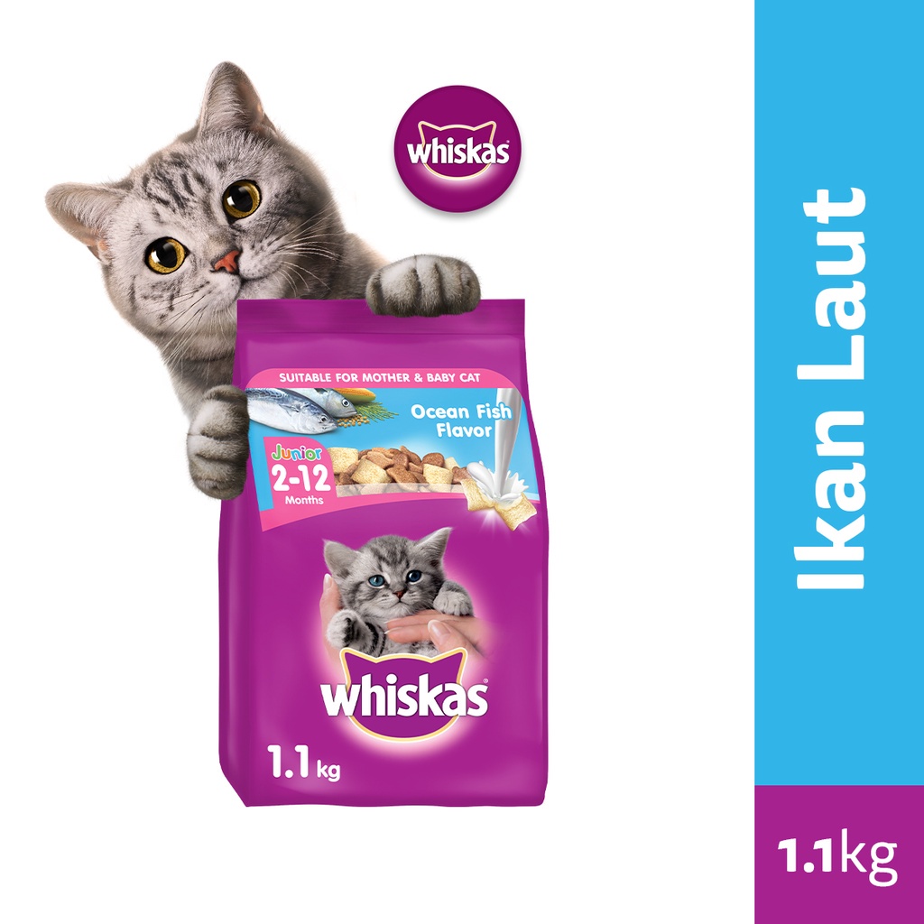 WHISKAS Junior Makanan Kucing Kering, 1.1 kg. Makanan Anak Kucing untuk umur 2-12 bulan Junior Ocean Fish 1.1KG / Dry Kitten Mother Baby Cat Food