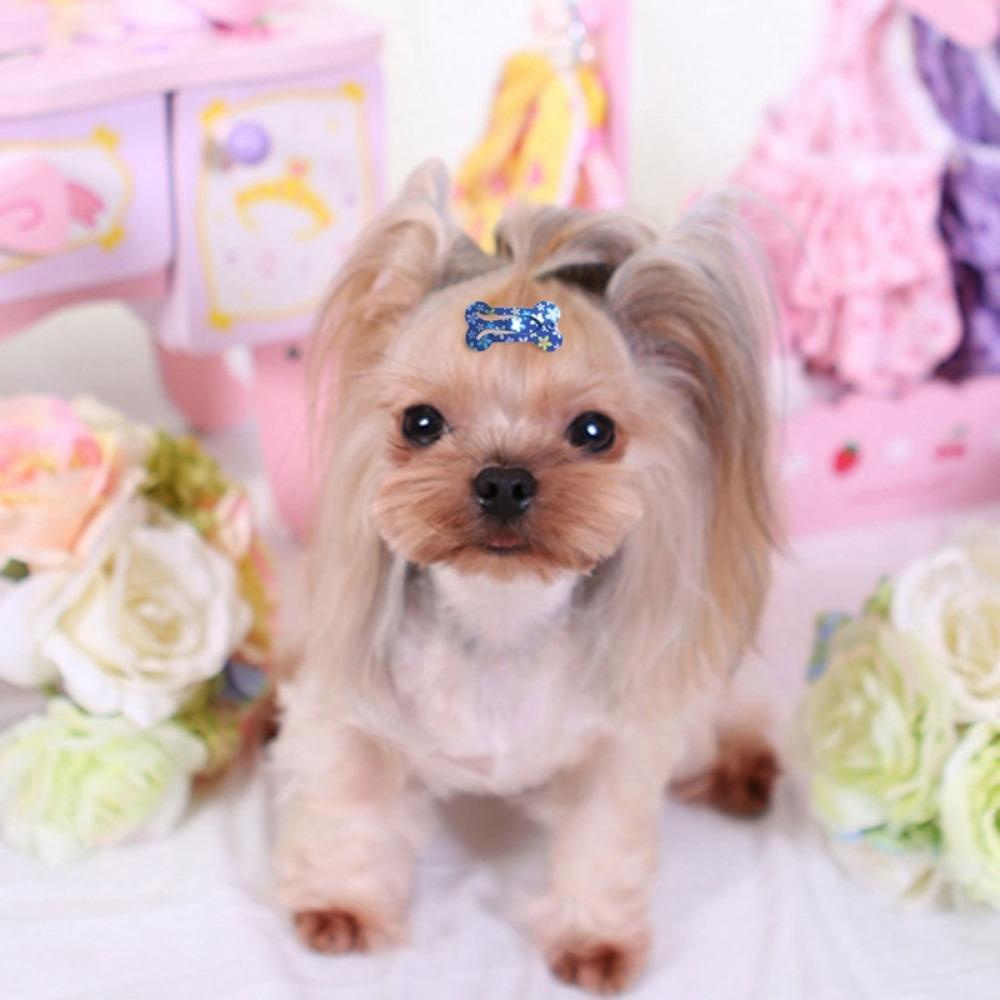 [Elegan] Jepit Rambut Anjing Universal 10pcs Hiasan Kepala Hewan Peliharaan Mini Lucu Warna-Warni