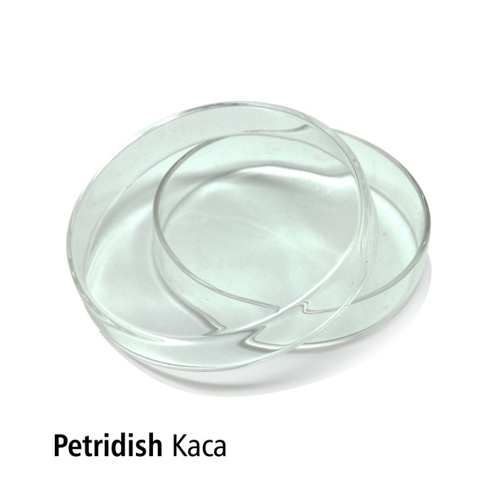 Cawan Petri Dish 120 x 25 mm Borosilicate Glass