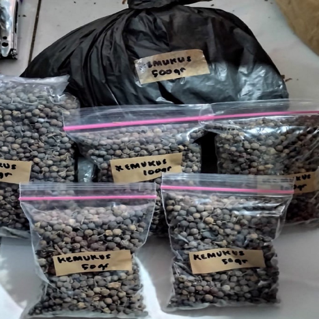 

Kemukus Rempah Kering Langsung Seduh/Bahan Jamu Herbal Cegah Kangker