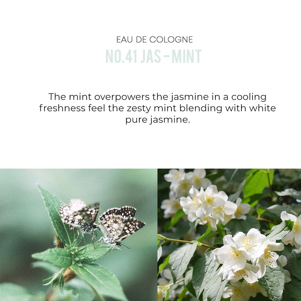W.DRESSROOM Dress &amp; Living Clear Perfume No. 41 Jas-Mint (70ml)