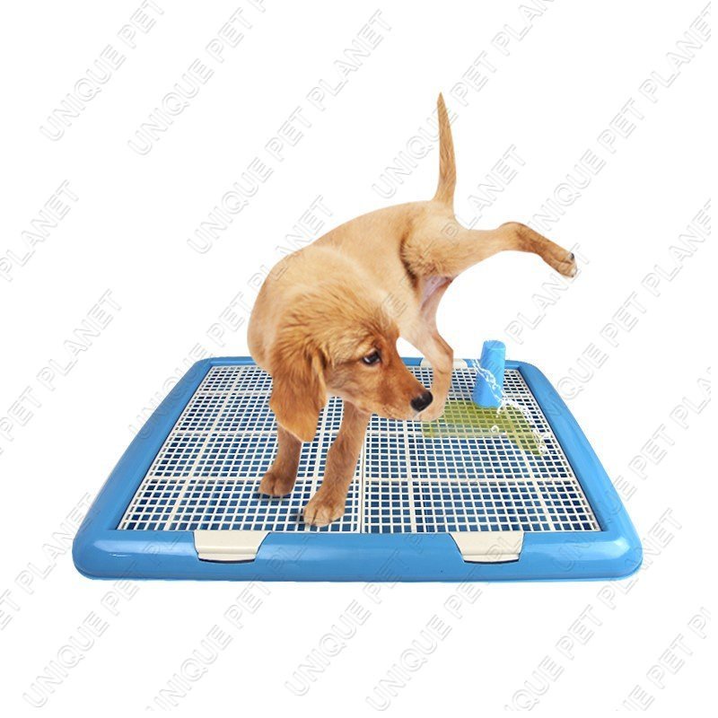 Toilet Anjing Pee Poop Training Pad Tray Pet Toilet Training Toilet Hewan