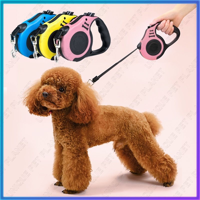 Tali Tuntun Kucing Retractable 3m Tali Pet Chain Dog Cat Training Leash Tali Harness Kucing Anjing Aksesoris Hewan Peliharaan