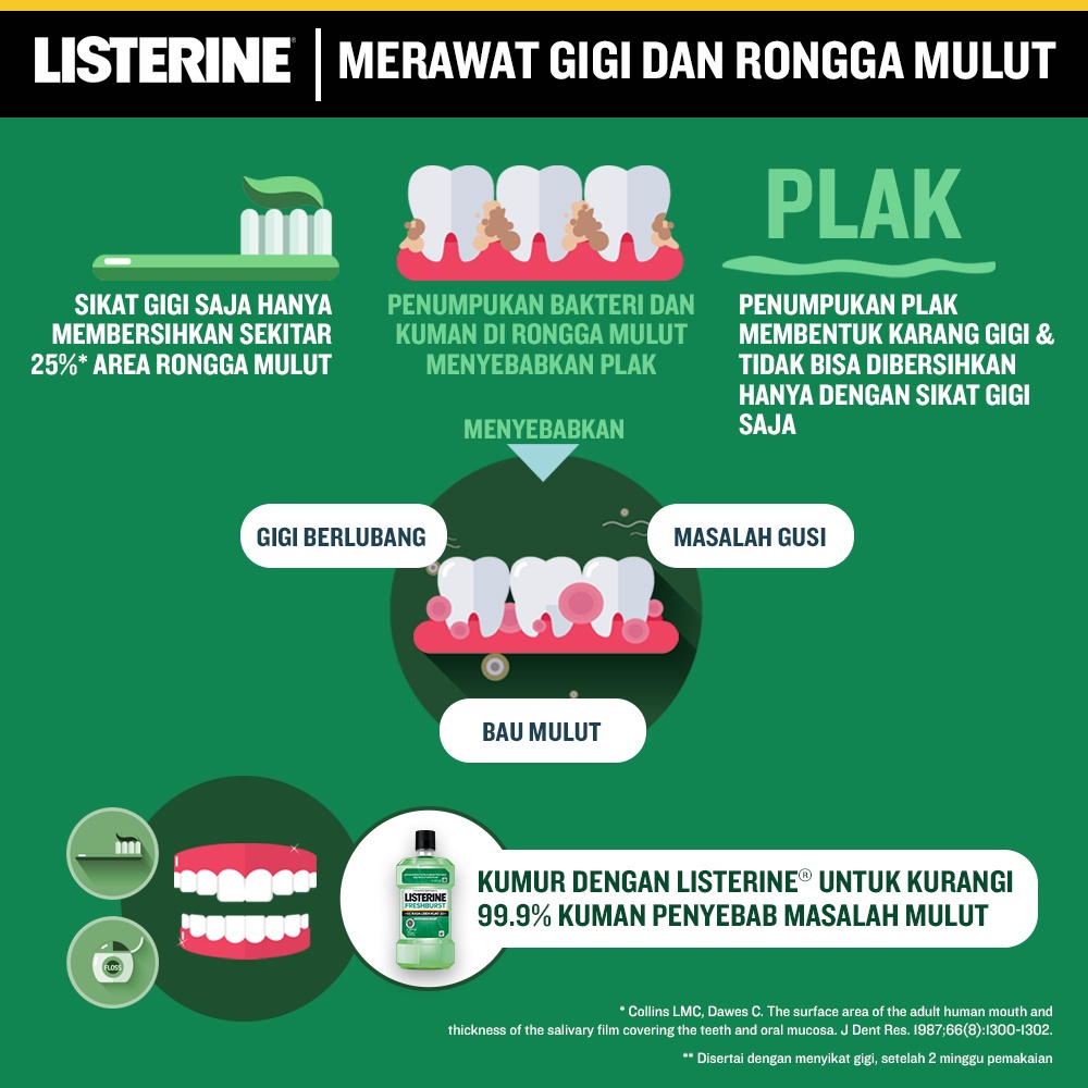 LISTERINE Fresh Burst Antiseptic Mouthwash / Obat Kumur Antiseptik 500ml - Isi 3