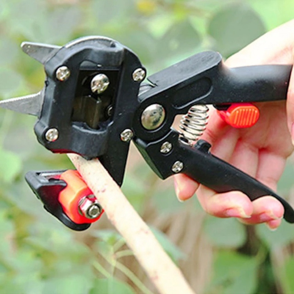 Taffware Gunting Sambung Pucuk Batang Tanaman Grafting Pruning Tool