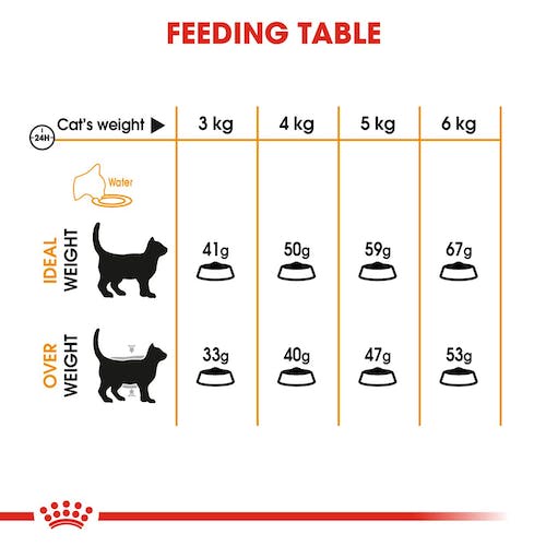 Royal Canin Hair &amp; Skin 2kg Makanan Kucing Kering