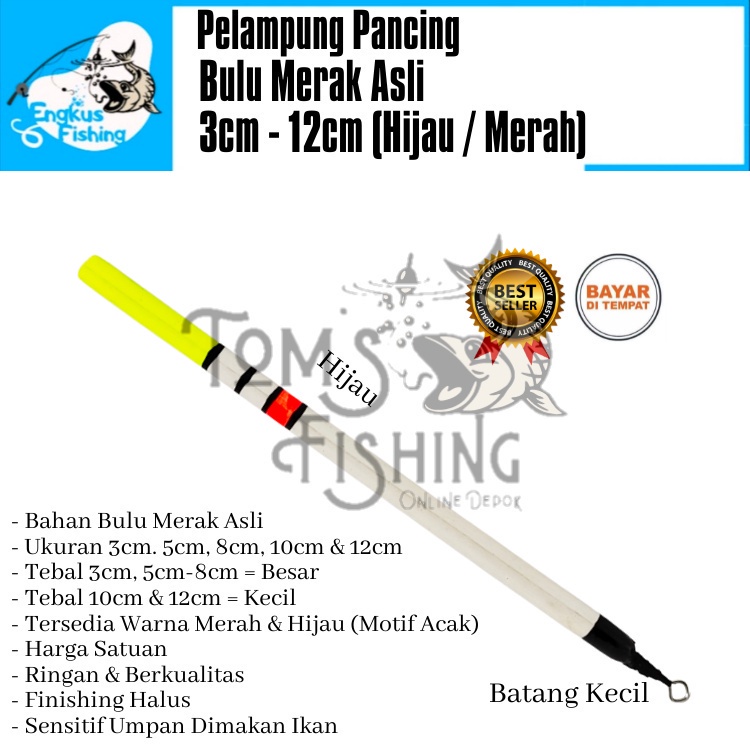 Pelampung Pumbul Pancing Bulu Merak Asli 3cm - 12cm (Merah / Hijau) Original Murah - Engkus Fishing