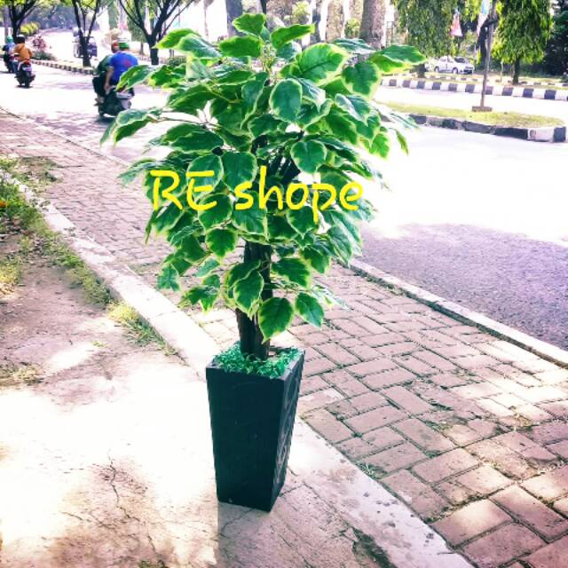 Bunga plastik/artificial/bunga hias/pohon plastik simfu hijau strip putih