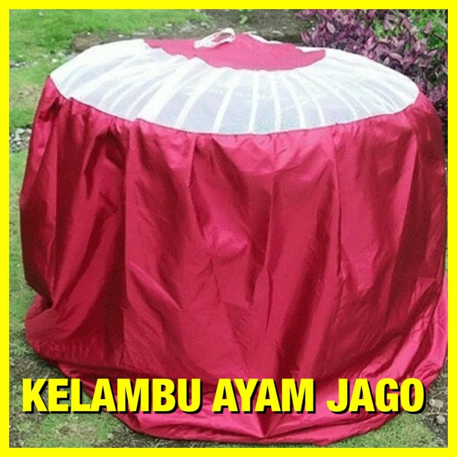 READY KRODONG AYAM BULAT EKONOMIS KERODONG KANDANG AYAM BULAT SELIMUT KELAMBU KURUNGAN AYAM JAGO