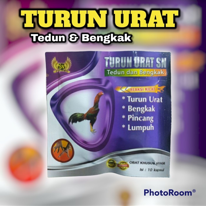 OBAT TURUN URAT SN TEDUN AYAM KAKI BENGKAK PINCANG LUMPUH