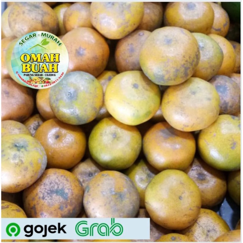 

Jeruk Medan 500 gram-1kg