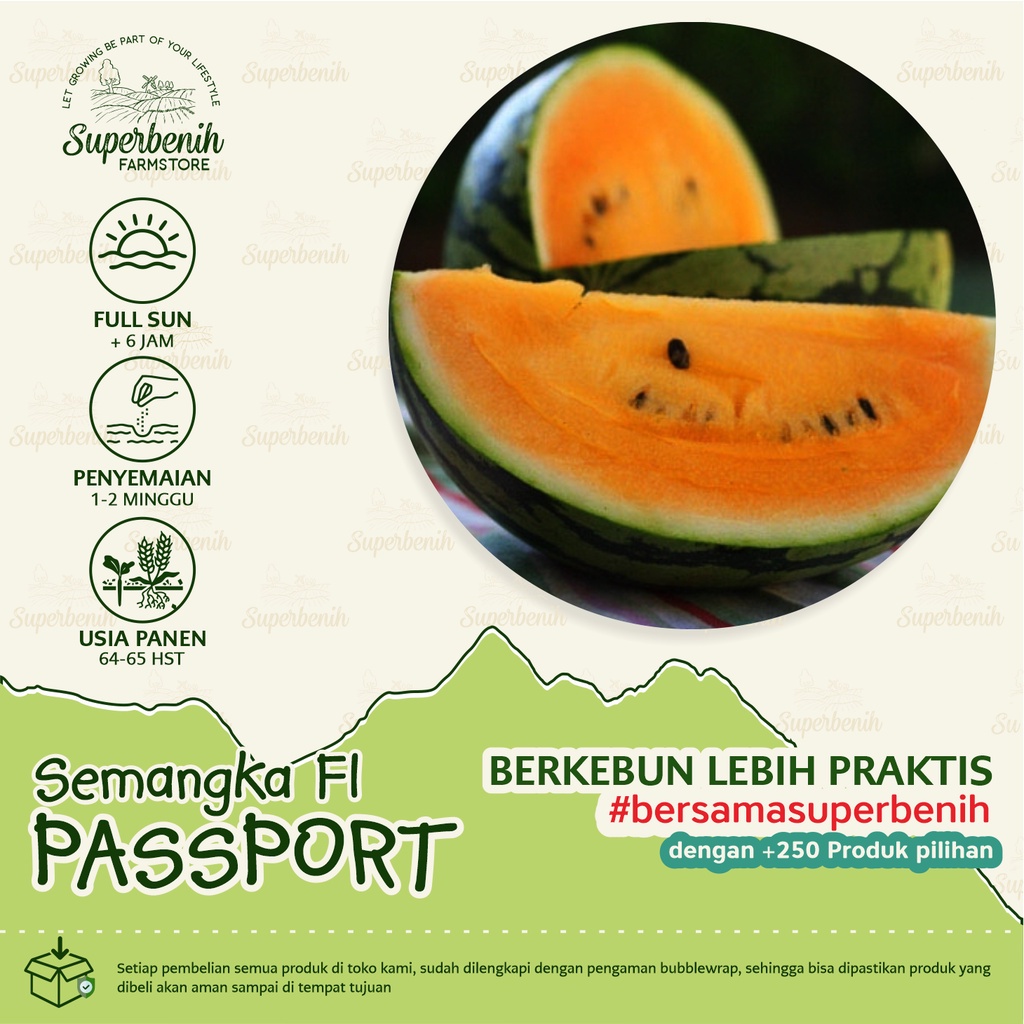 Benih murah 5 Biji - Benih Bibit Semangka kuning PASSPORT F1 bukan non biji, bibit tanaman buah