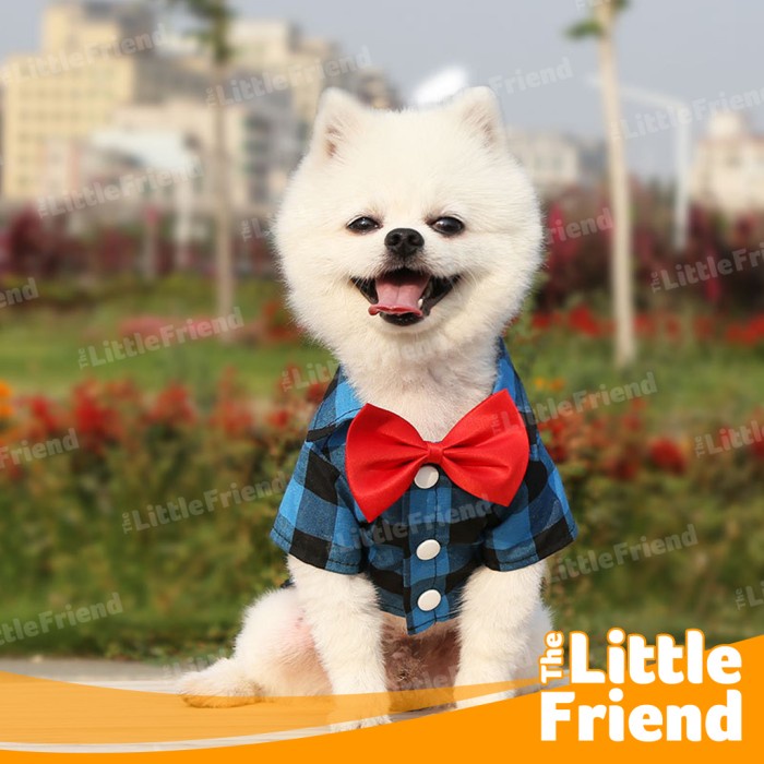 Baju Kucing Anjing Jantan Kemeja Dasi Kotak Suit Wedding Formal Plaid