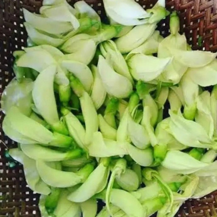 

[Ready Stock] Kembang Turi / Bunga Turi Segar per500gram