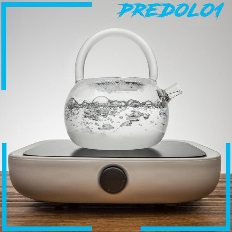 [Predolo1] Tea Kettle 780ml Transparent Fine Mesh Reusable Durable for Travel Household