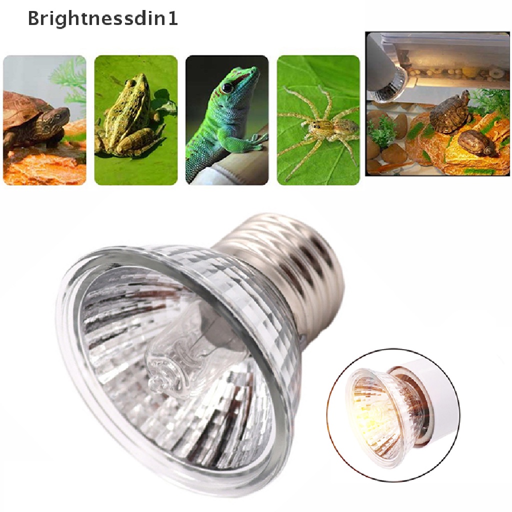 [Brightnessdin1] Kit Lampu Reptil UVA+UVB Clip-on Ceramic Light Holder Turtle Basking UV Heag Boutique