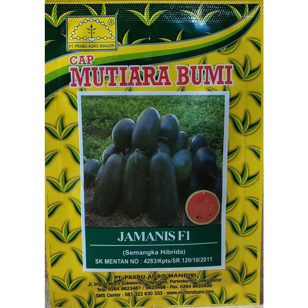 Benih Semangka Inul Hibrida JAMANIS F1 isi 20gram ORIGINAL