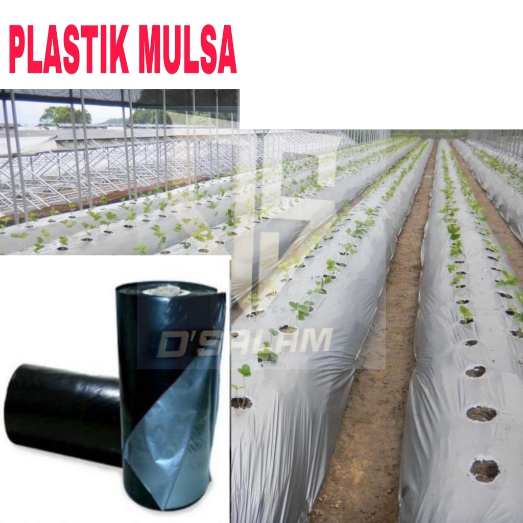 PLASTIK MULSA 1 ROLL