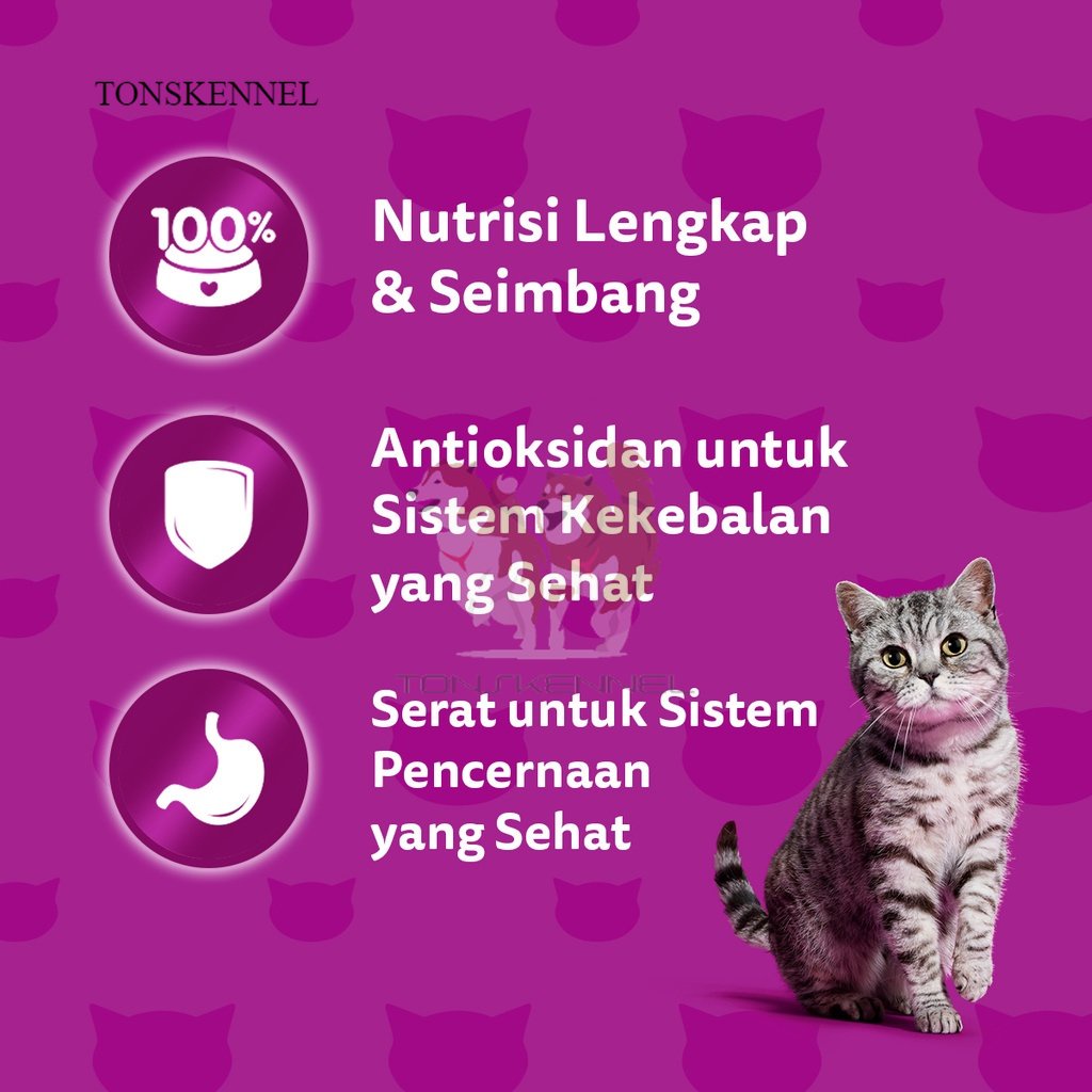 WHISKAS Skin &amp; Coat 1.1kg 1.1 kg Makanan Kucing Kering  untuk Kucing Dewasa - Makanan Kucing  untuk Menjaga Kesehatan Kulit dan Bulu