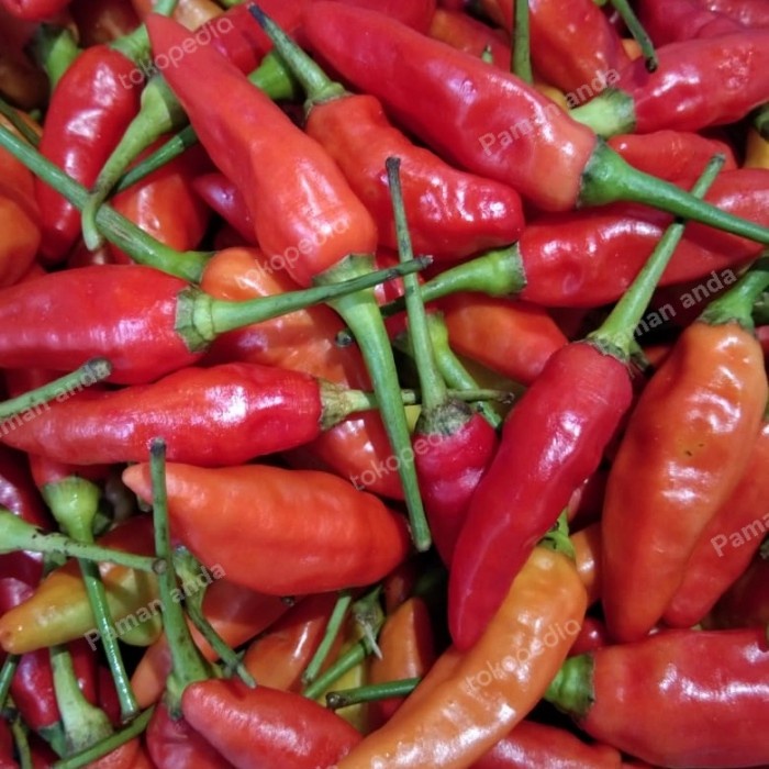 

Best Seller [COD] Cabe Rawit 1 Kg