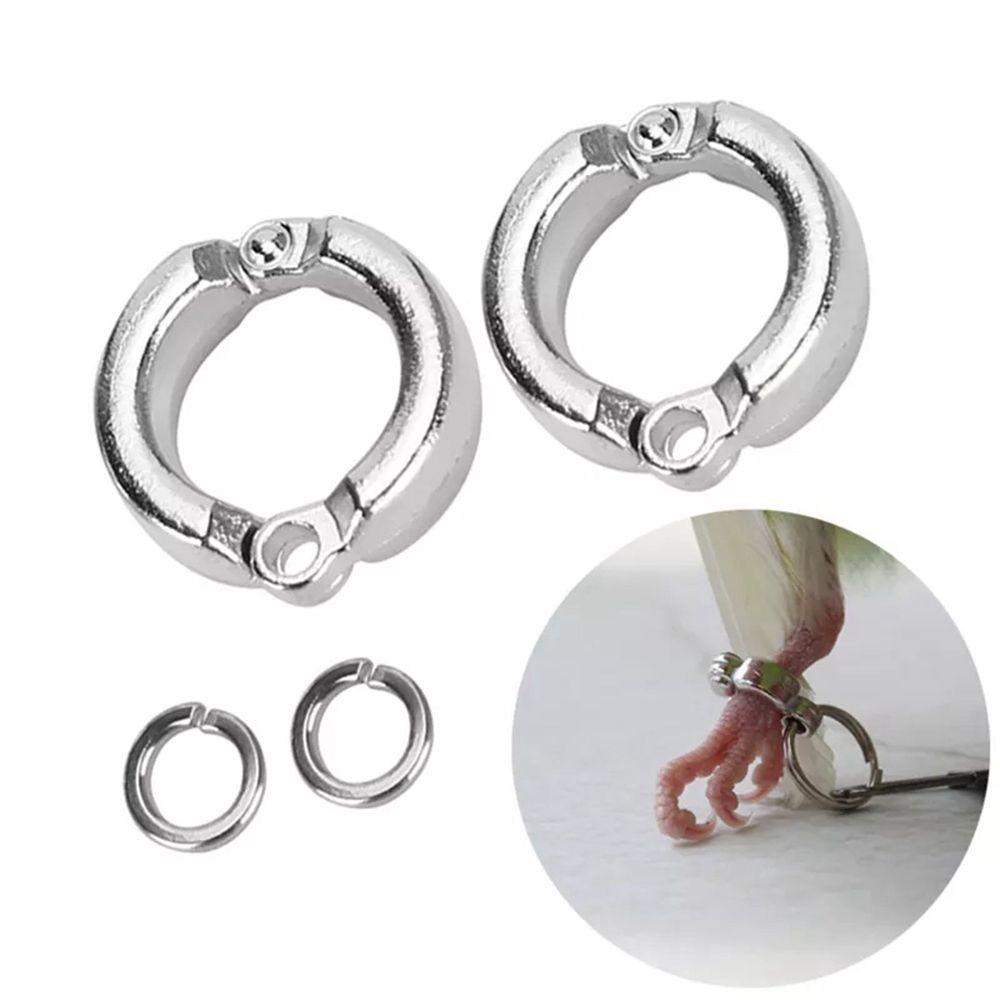 [Elegan] Cincin Kaki Nuri Luar Lalat Logam Anti Hilang Klip Pelatihan Aktivitas Burung Kalung Aksesoris