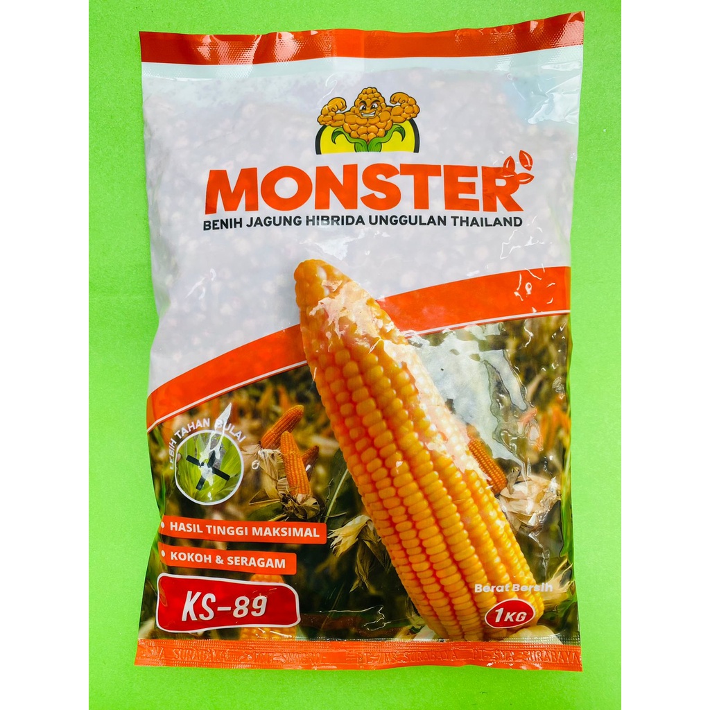 Terbaik Benih jagung hibrida MONSTER KS-89 isi 1kg dari KS SEED