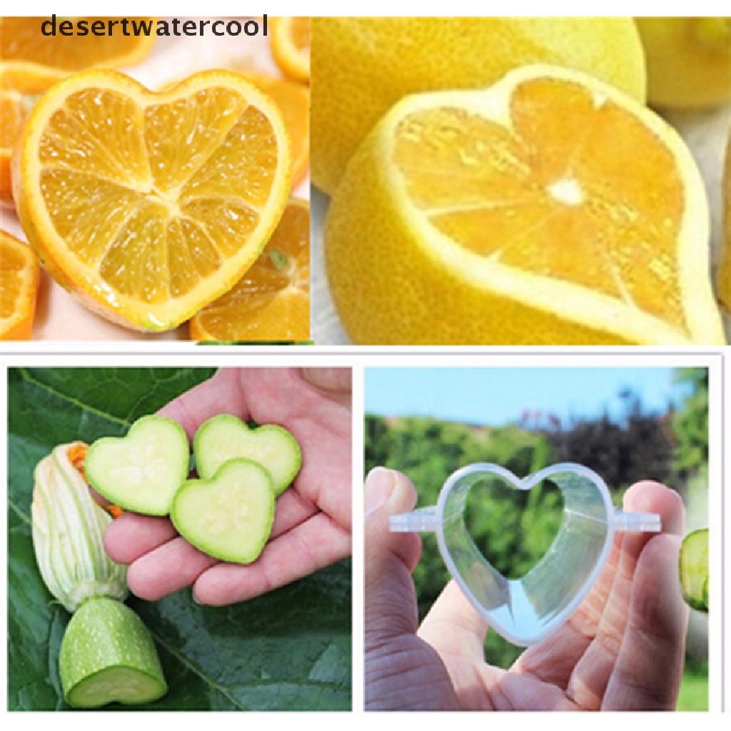 Deid Cetakan Pembentuk Pertumbuhan Timun Plastik Heart/Star Fruit Shaping Growing Mold Martijn