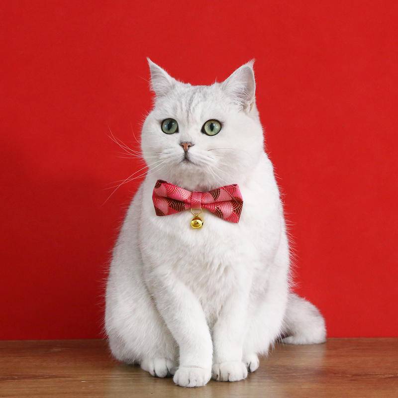 Kucing Peliharaan Kerah Busur Dengan Liontin Awan Menguntungkan Gaya China Dan Lonceng adjustable anti-Sedak bow tie chain Untuk Anak Kucing Dan Anak Anjing