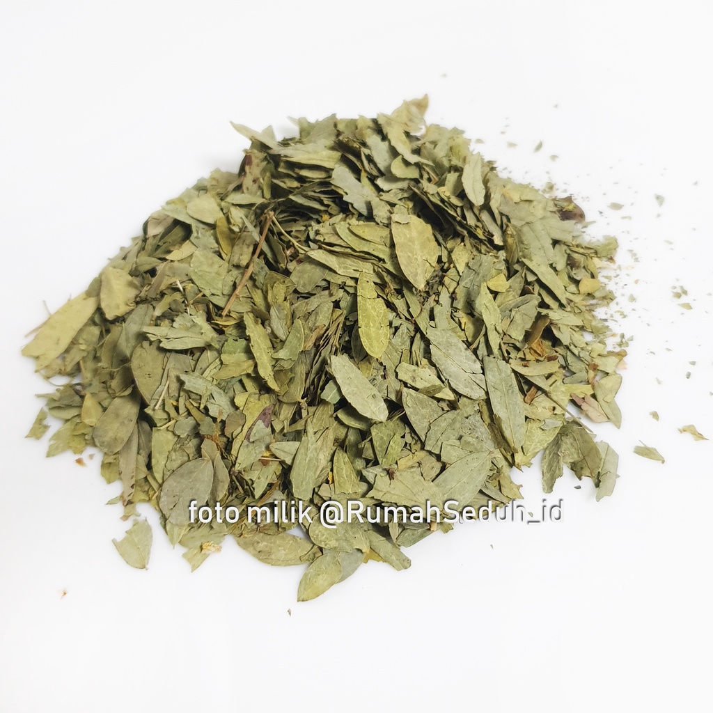 

1Kg Daun Jati Cina / Senna Leaves
