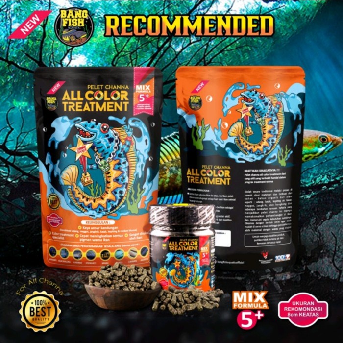 Pelet Channa ALL COLOR TREATMENT Bang Fish Aquatic