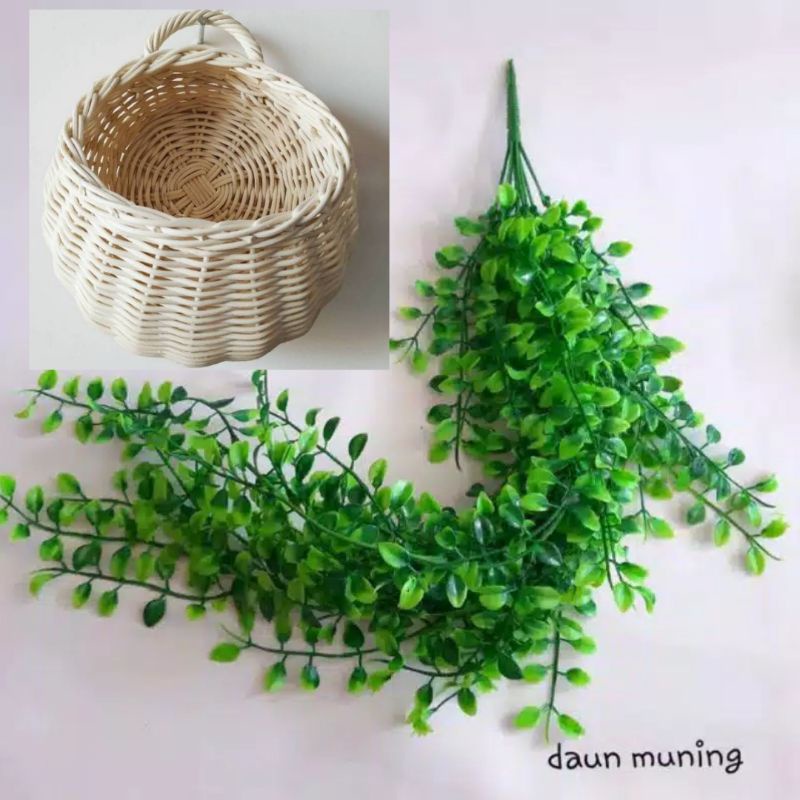 Daun Rambat Kemuning Plastik Juntai dan Pot Rotan Anyaman Gantung Tempel Tembok Dinding