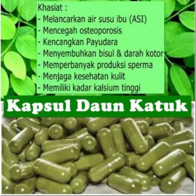 PELANCAR ASI - ASI BOOSTER DAUN KATUK KAPSUL - AB