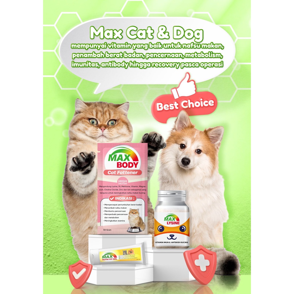 Max Body Penambah Berat Badan Kucing 50gr