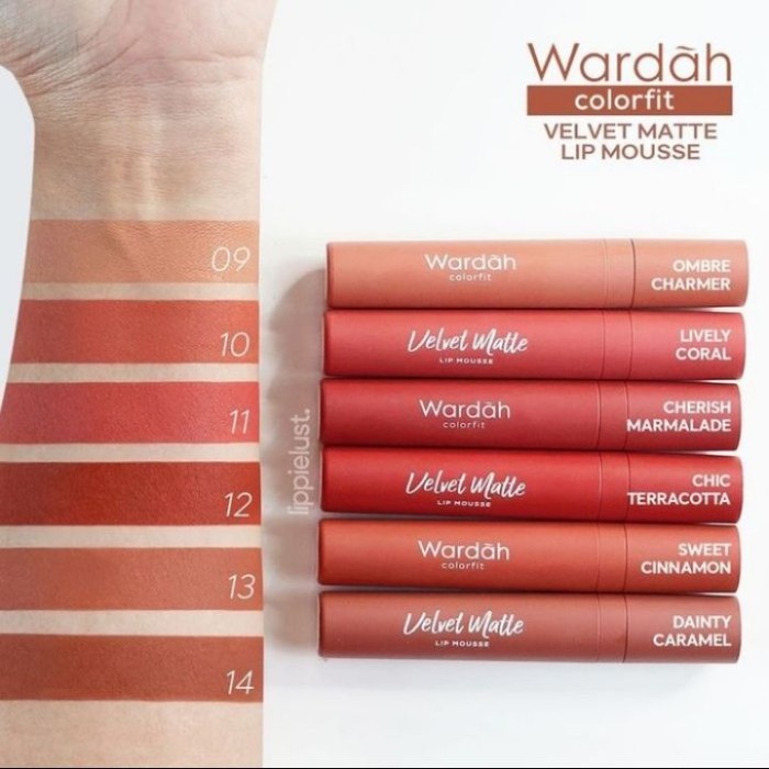 ✿ BISA COD✿ Wardah *WARNA BARU* Colorfit Velvet Matte Lipmouse No 09-14 - 12 Chic terraco