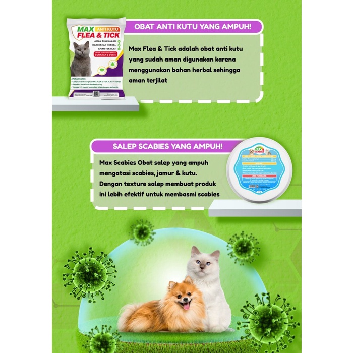 Max Anti Kutu Obat Anti Kutu Kucing