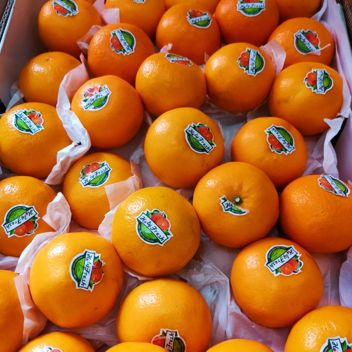 

JERUK WOKAM IMPORT MANIS FRESH ORANGE WOKAM
