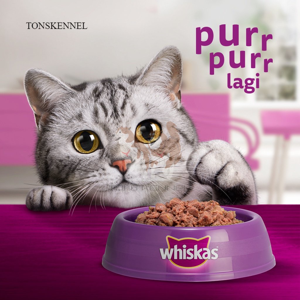 WHISKAS Junior Pouch Makanan Basah Kitten  Kemasan Pouch (24-Pack), 80g. Makanan Kucing Basah Untuk Anak Kucing Umur 2-12 Bulan