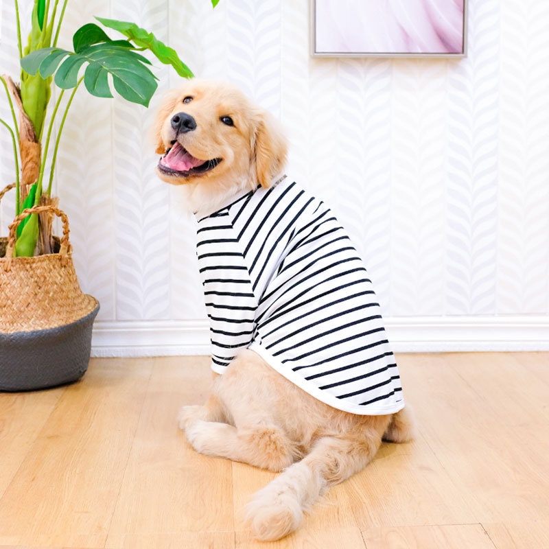 Baju Anjing Besar Musim Panas Tipis Emas Samoye Labrador Musim Panas Bernapas Anjing Sedang Anjing Besar Baju Musim Panas