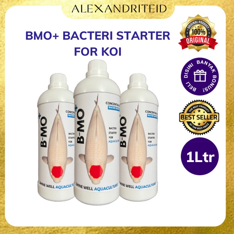 WG45R BMO+ BACTERI STARTER FOR KOI 1L