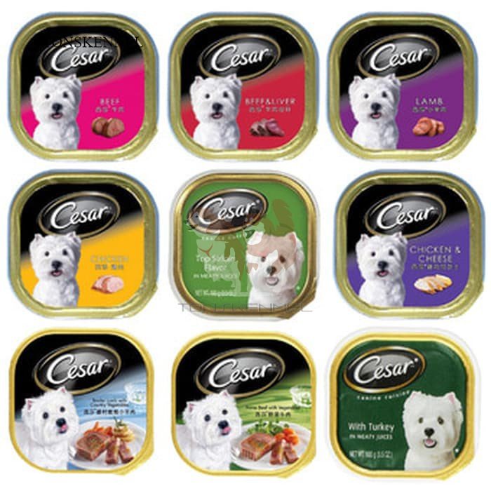 Cesar Dog Wet Food 100GR Makanan Basah Anjing All Varian Beef Lamb Chicken 100G 100 g 100 gr 100gram