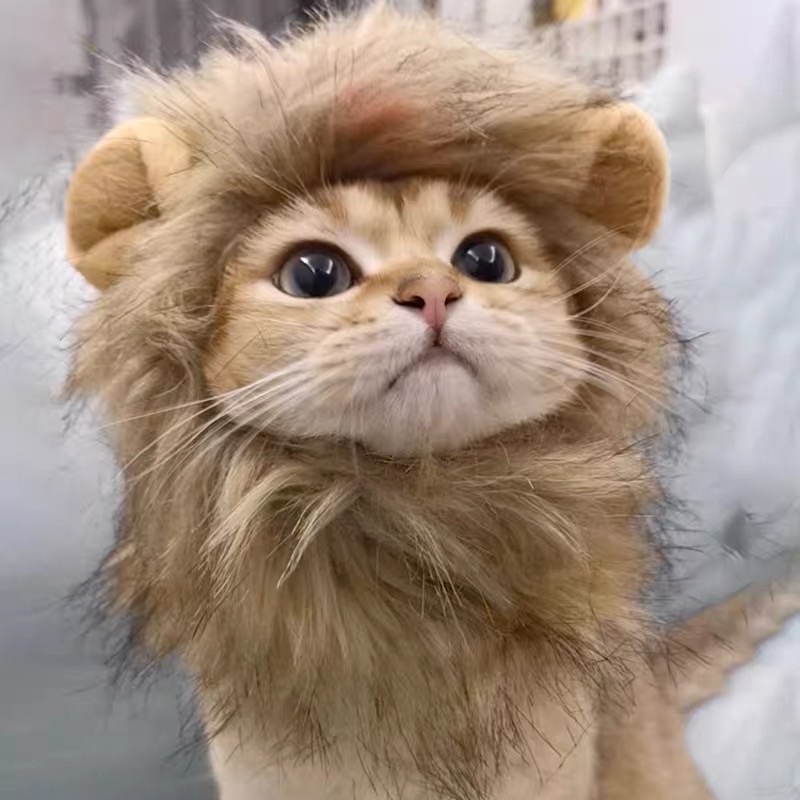 Kostum Kucing Anjing Model Wig Rambut Singa Topi Cat Lion Hair Pakaian Baju Kucing - Kostum Wig