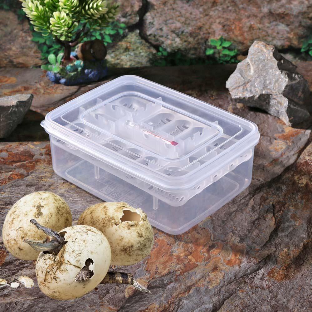 [Elegan] Kotak Penetas Telur 12kisi Bahan Plastik Ringan Tahan Lama Dengan Termometer Reptil Mesin Tetas