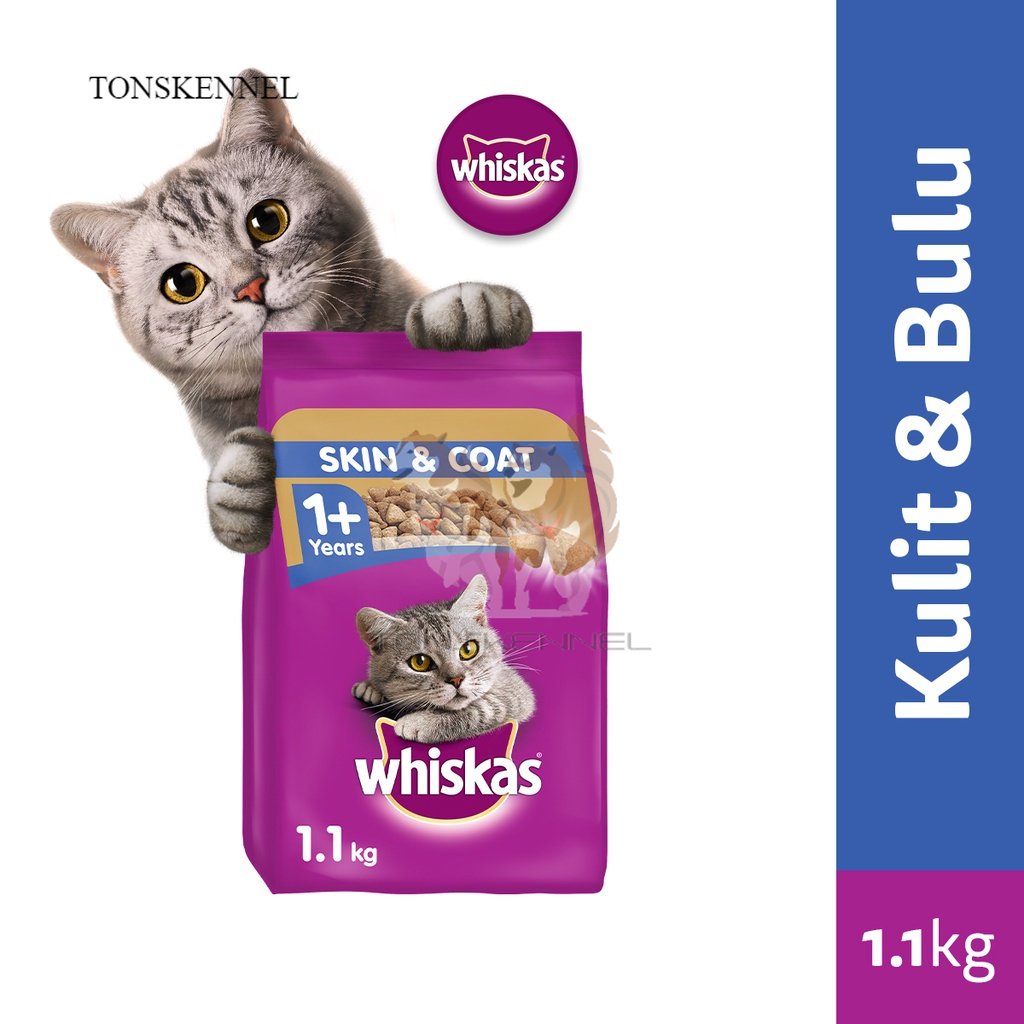 WHISKAS Skin &amp; Coat 1.1kg 1.1 kg Makanan Kucing Kering  untuk Kucing Dewasa - Makanan Kucing  untuk Menjaga Kesehatan Kulit dan Bulu