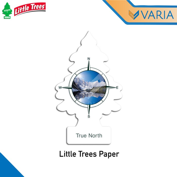 Little Trees Paper True North Parfum Pengharum Ruangan Mobil Gantung